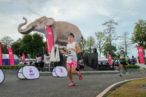 BIB: 
                            <button type="button" onclick="openModal(26528779)" class="btn btn-primary btn-sm float-right btn-popup" data-toggle="modal" data-target=".modal-high-quality">
                        <i class="fas fa-shopping-cart"></i> Add to Cart
                    </button>
                                            <button type="button" onclick="isThisMe(26528779, true)" class="btn btn-success btn-sm float-right btn-popup btn-isme hidden" data-toggle="tooltip" data-placement="bottom" title="นี่คือรูปของคุณใช่ไหม คลิกที่นี่เพื่อเอาเข้าอัลบั้ม">
                        <i class="fas fa-plus"></i> Add to album
                    </button>
                    <button type="button" onclick="isThisMe(26528779, false)" class="btn btn-warning btn-sm float-right btn-popup btn-isnotme hidden">
                        <i class="fas fa-ban"></i> Remove from album
                    </button>